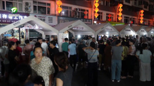 休宁县举办“徽风医韵·康养休宁”中医夜市