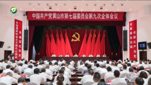 中国共产党黄山市第七届委员会第九次全体会议决议
