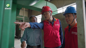 黃山區(qū)：電力護航豐收季 助力秋收“好豐景”