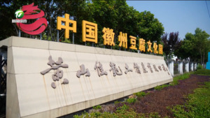 簡訊：休寧縣五城鎮茶干產業年綜合產值突破3億元