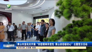 黃山市直機關(guān)開展 “回信精神淬黨性 黃山談話礪初心”主題黨日活動?