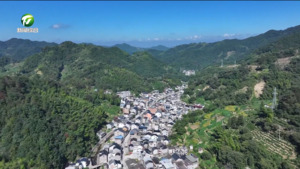 回訪歙縣皋徑村：鏖戰一年煥新顏 破繭重生繪新景