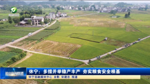 休寧:多措并舉穩產豐產 夯實糧食安全根基