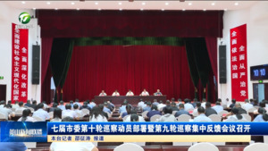 七屆市委第十輪巡察動員部署暨第九輪巡察集中反饋會議召開