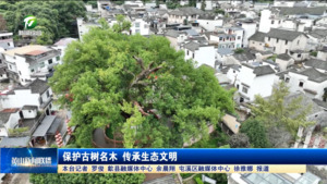 保護古樹名木 傳承生態文明