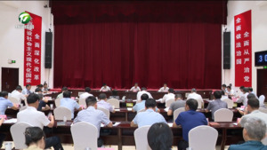 全市深化群众身边不正之风和腐败问题集中整治推进会议召开 丁纯讲话 何毅左龙等出席