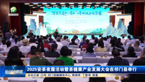 2025安茶夜露活动暨茶健康产业发展大会在祁门县举行 2025安茶夜露活动暨茶健康产业发展大会在祁门县举行