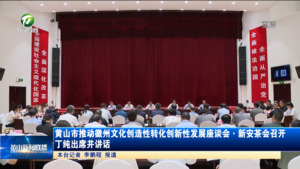 黄山市推动徽州文化创造性转化创新性发展座谈会·新安茶会召开 丁纯出席并讲话