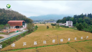 涉农服务深入一线 助力秋粮颗粒归仓