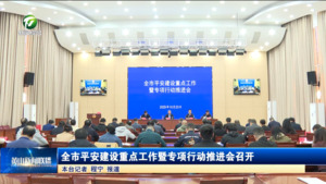 全市平安建设重点工作暨专项行动推进会召开