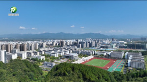 深化教育改革促公平 多校特色育人显成效