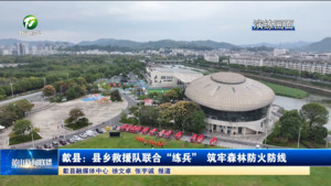 歙县:县乡救援队联合“练兵” 筑牢森林防火防线 歙县:县乡救援队联合“练兵” 筑牢森林防火防线