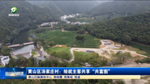 黄山区汤家庄村:绘就主客共享“共富图” 黄山区汤家庄村:绘就主客共享“共富图”
