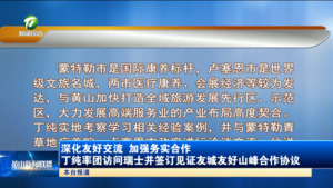 深化友好交流 加强务实合作 丁纯率团访问瑞士并签订见证友城友好山峰合作协议 深化友好交流 加强务实合作 丁纯率团访问瑞士并签订见证友城友好山峰合作协议