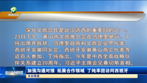 加强沟通对接 拓展合作领域 丁纯率团访问西班牙 加强沟通对接 拓展合作领域 丁纯率团访问西班牙