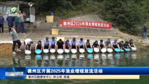 徽州区开展2025年渔业增殖放流活动