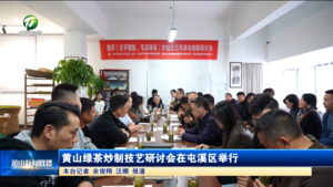 黄山绿茶炒制技艺研讨会在屯溪区举行