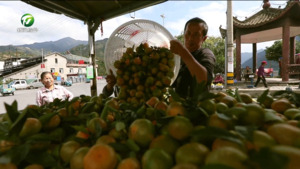 【學(xué)習(xí)貫徹黨的二十屆四中全會(huì)精神】立足崗位作貢獻(xiàn) 真抓實(shí)干往前趕——黨的二十屆四中全會(huì)精神在我市廣大干部群眾中引發(fā)熱烈反響