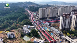 简讯 休宁：“满格”电力 守护千年庙会