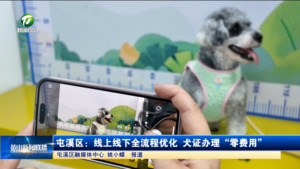 屯溪區(qū)：線上線下全流程優(yōu)化 犬證辦理“零費(fèi)用”