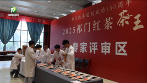 简讯：2025年祁门红茶“茶王赛”冠军诞生