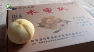 歙县：节点焕新景 香蜜富乡村