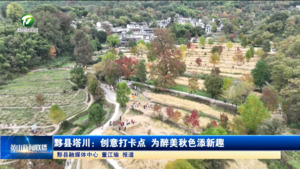黟县塔川：创意打卡点 为醉美秋色添新趣