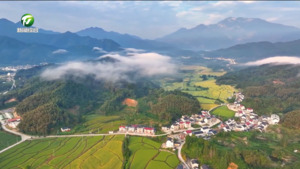 占补平衡 山林生金! 祁门拿下全省跨区域“首单” 占补平衡 山林生金! 祁门拿下全省跨区域“首单”