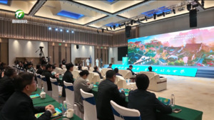 古村新韵联四省 生态文旅向世界 2025年浙皖闽赣国家生态旅游协作区推进活动在黟县举行 古村新韵联四省 生态文旅向世界 2025年浙皖闽赣国家生态旅游协作区推进活动在黟县举行