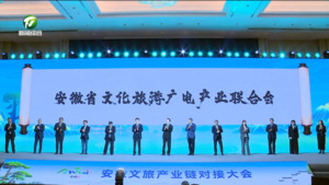 安徽文旅产业链对接大会召开 安徽文旅产业链对接大会召开