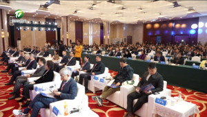 黄山以开放之姿 绘就入境旅游“国际范”新画卷 黄山以开放之姿 绘就入境旅游“国际范”新画卷