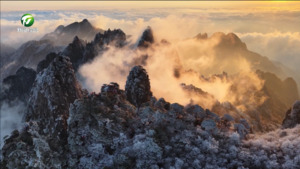 黄山风景区:今冬首场雾凇美景 玉树琼枝美如画 黄山风景区:今冬首场雾凇美景 玉树琼枝美如画