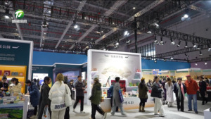 第六届长三角国际文化产业博览会在沪举行 第六届长三角国际文化产业博览会在沪举行