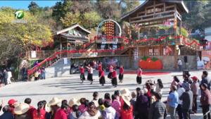 姬川“柿”事皆甜!灯笼柿丰收嘉年华甜蜜开场 姬川“柿”事皆甜!灯笼柿丰收嘉年华甜蜜开场