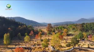 黟县：塔川景色如画 邂逅皖南最美“调色板”