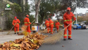屯溪区：寒潮来袭落叶纷飞 “人机协同”守护城市洁净