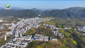 首届长三角（潜口）生命健康产业发展大会在徽州区举行