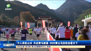 万人奔赴山水 共启黄马新篇 2025黄山马拉松会客天下