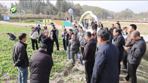 简讯 2025年黄山市油菜“强田管促壮苗”农技行动现场会在祁门召开