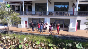 黟县：色彩疗愈+文化康养 打造长三角秋冬治愈旅游新标杆