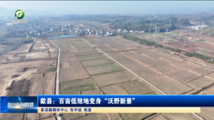 簡訊 歙縣：百畝低效地變身“沃野新景”