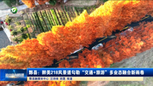 黟县:醉美218风景道勾勒“交通+旅游”多业态融合新画卷 黟县:醉美218风景道勾勒“交通+旅游”多业态融合新画卷