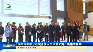 何树山率部分在皖全国人大代表来黄开展集中视察 何树山率部分在皖全国人大代表来黄开展集中视察