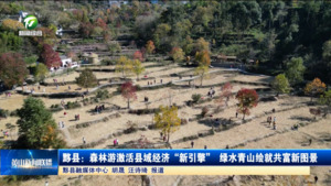 黟县:森林游激活县域经济“新引擎” 绿水青山绘就共富新图景 黟县:森林游激活县域经济“新引擎” 绿水青山绘就共富新图景