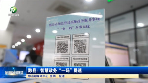 简讯 黟县：智慧政务“一码”提速