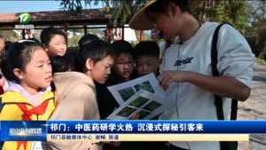 简讯：祁门：中医药研学火热 沉浸式探秘引客来
