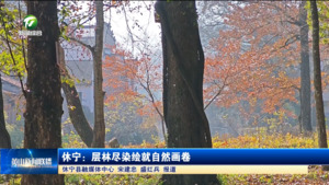 休宁:层林尽染绘就自然画卷 休宁:层林尽染绘就自然画卷