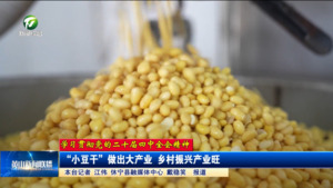 【学习贯彻党的二十届四中全会精神】“小豆干”做出大产业 乡村振兴产业旺 【学习贯彻党的二十届四中全会精神】“小豆干”做出大产业 乡村振兴产业旺