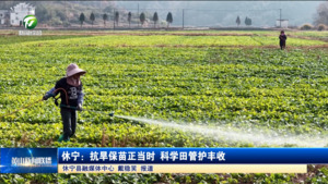 简讯：休宁：抗旱保苗正当时 科学田管护丰收
