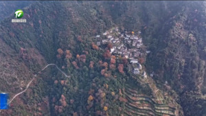 简讯：祁门：海拔千米山村  别样色彩画卷